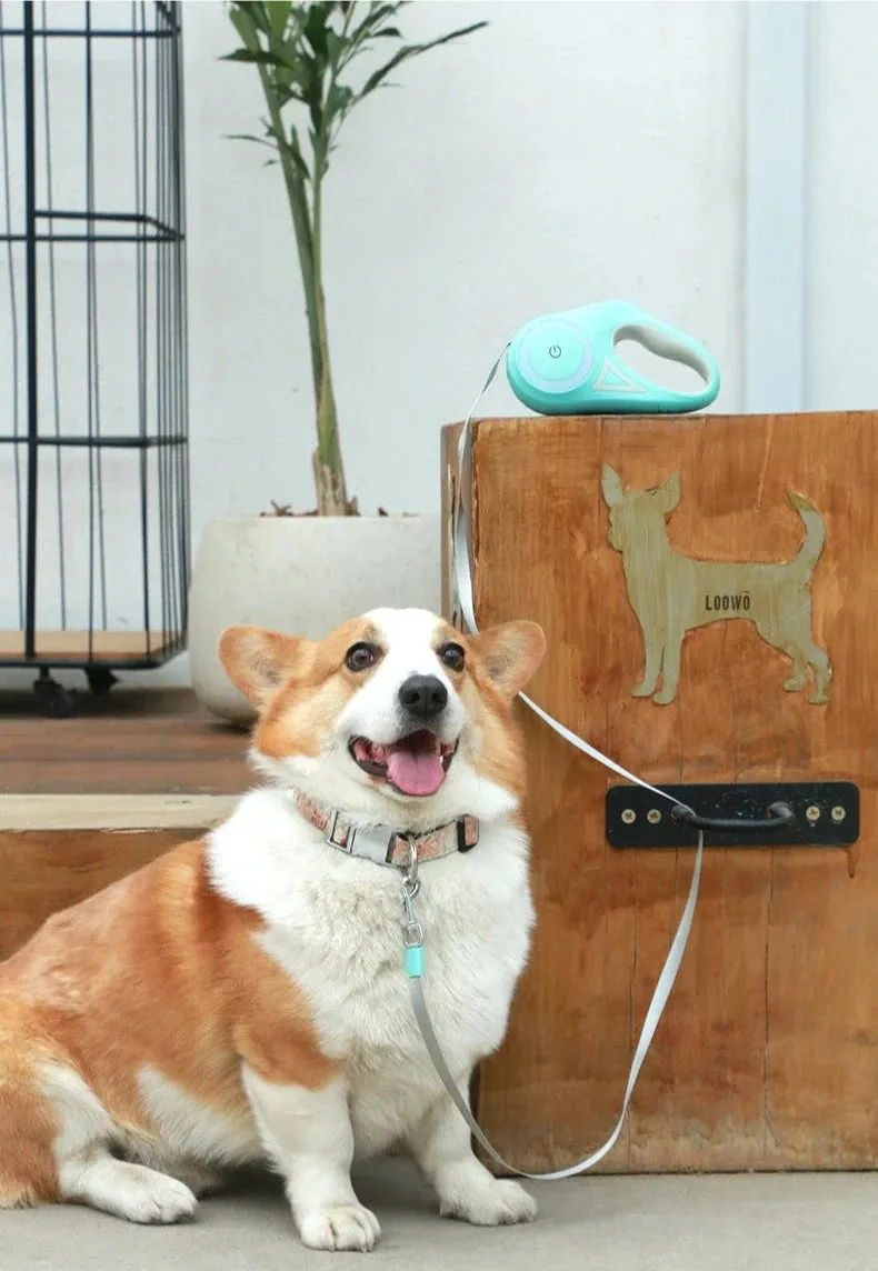 NightGlow™ Illuminated Retractable Dog Leash With LED Flashlight & RGB Ring