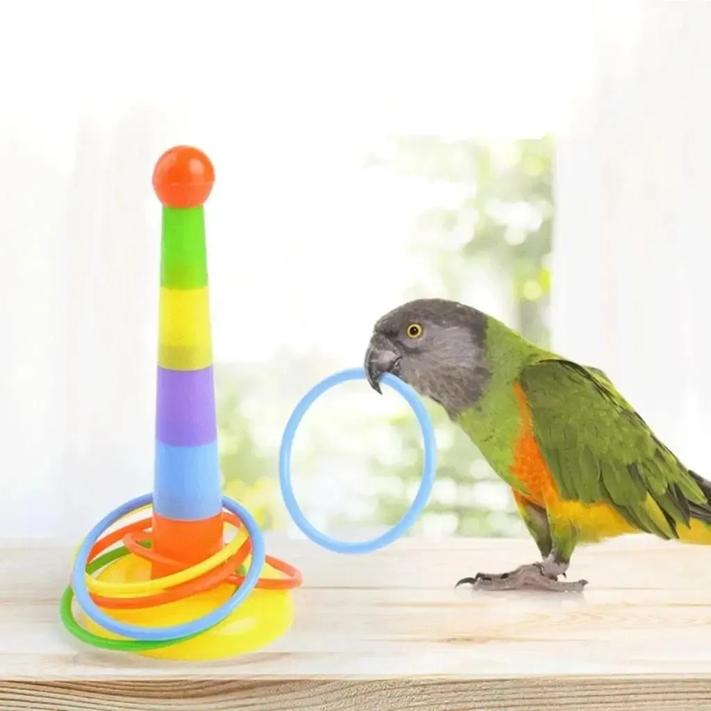 Parrot Toy, Mini Shopping Cart, Stacking Rings, Skateboard, Basketball, Bird Training Toys