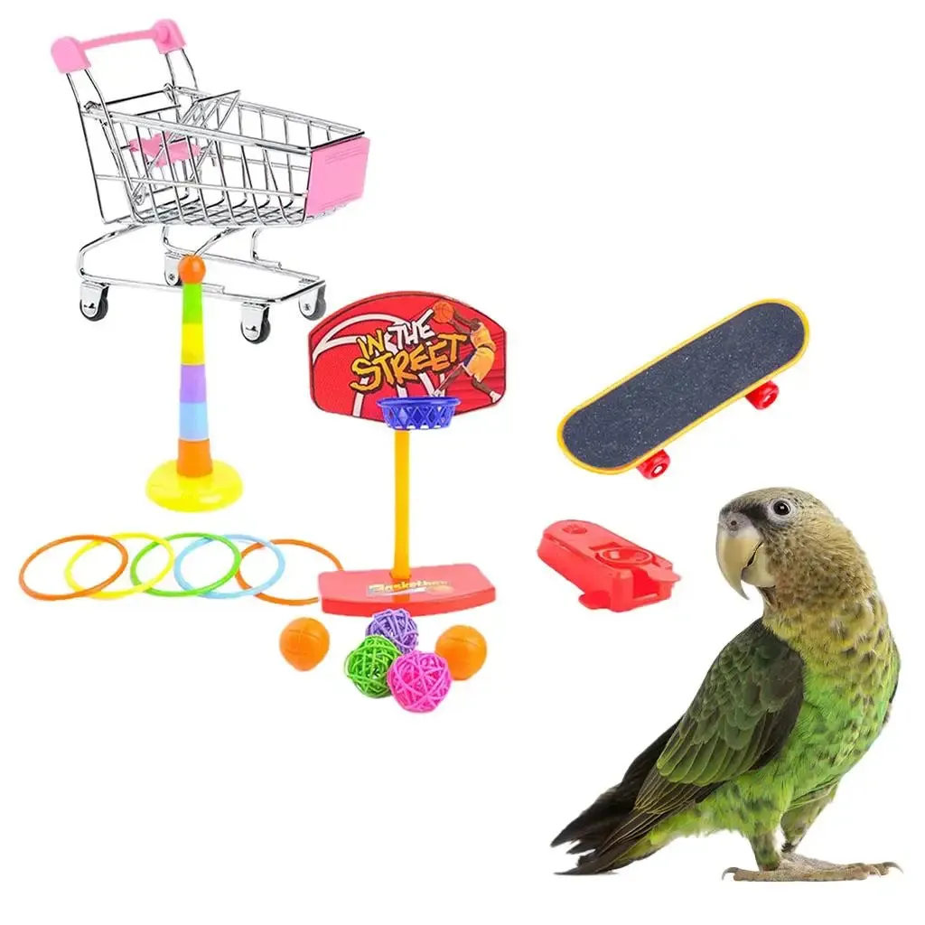 Parrot Toy, Mini Shopping Cart, Stacking Rings, Skateboard, Basketball, Bird Training Toys