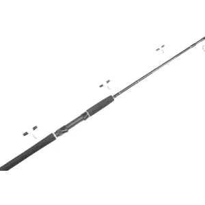 Pioneer Argonaut 7ft 2pc 6-10kg Spin Rod
