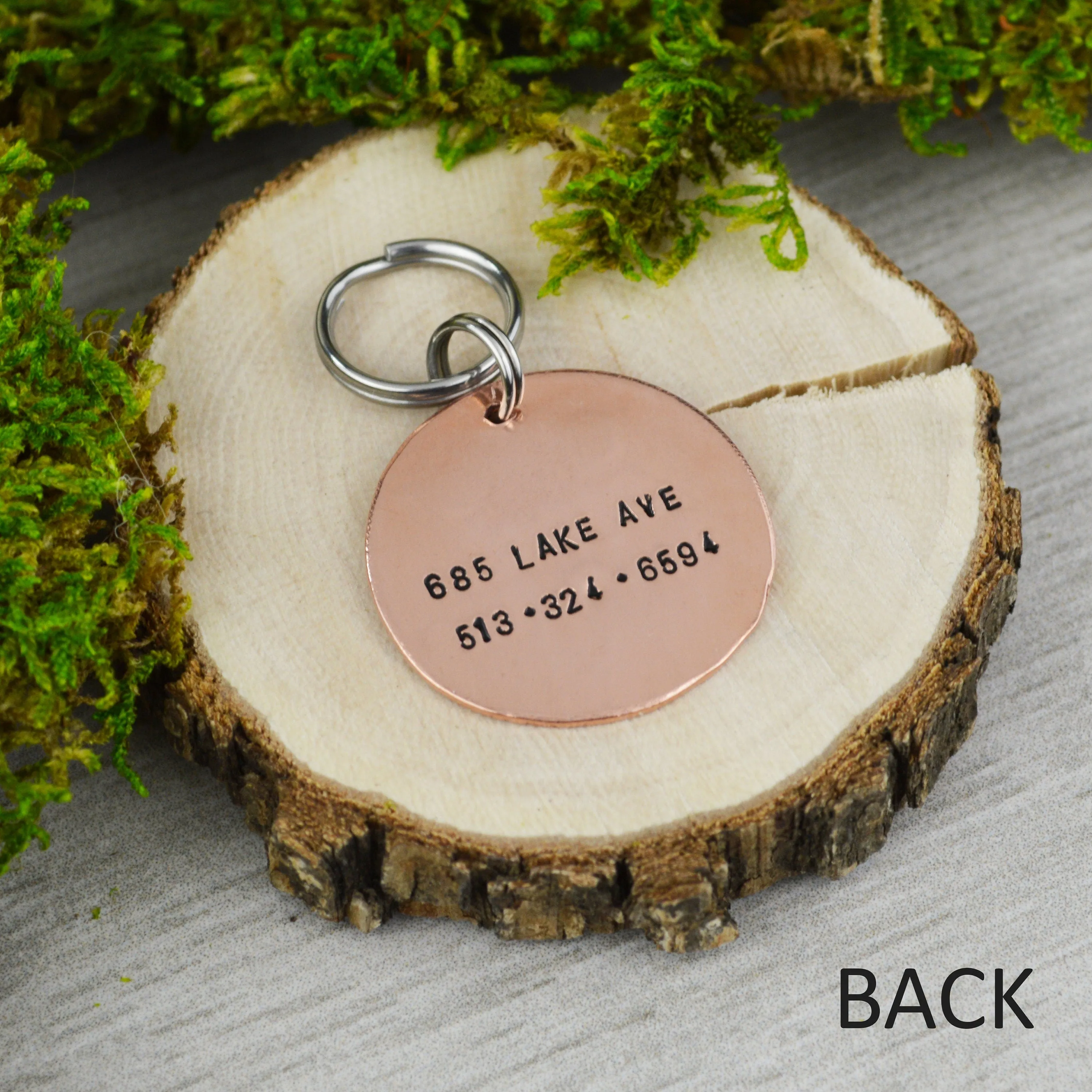 Rock Crawler Pet ID Tag