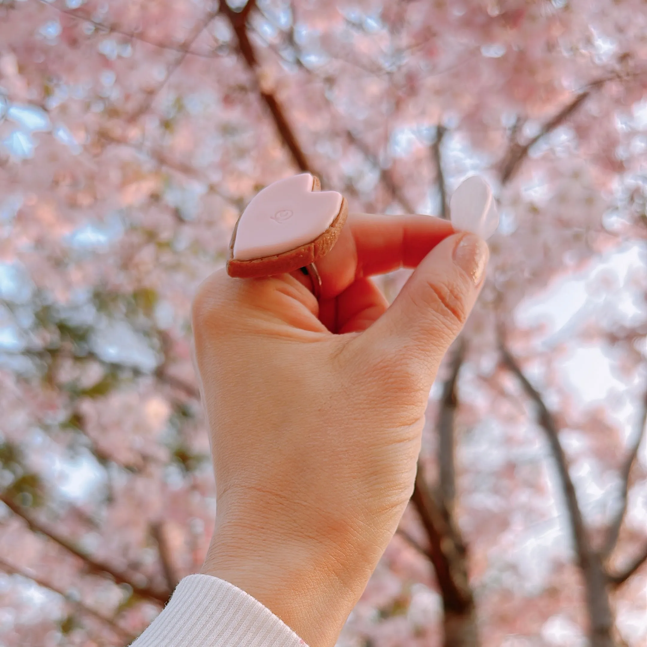 SAKURA Sugar Cookie Ring【Japan Jewelry】