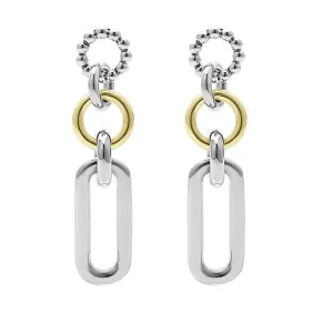 Two-Tone Link Drop Earrings