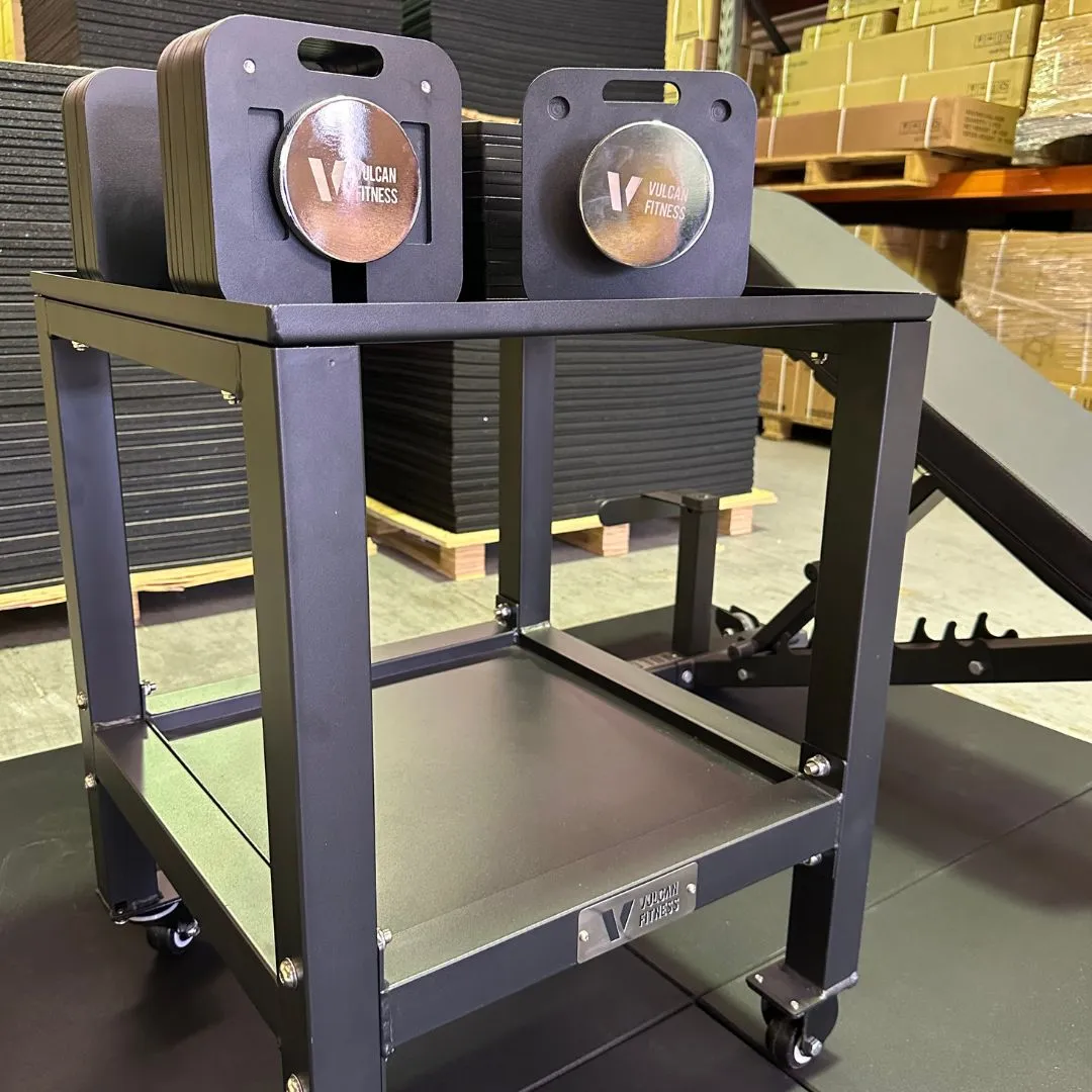 VULCAN Adjustable Dumbbells & Stand | IN STOCK